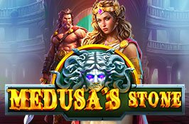 Medusa’s Stone